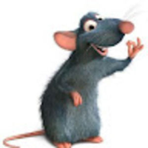 Meet your Posher, Sienna